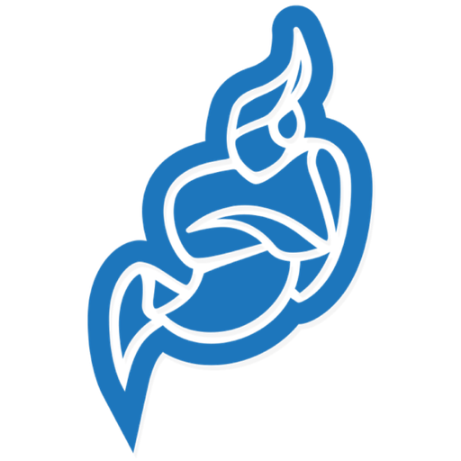 Jitsi Online Meeting Platform